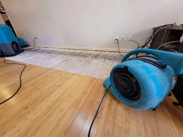 Professional Water Damage Repair technician working in West Enfield, ME